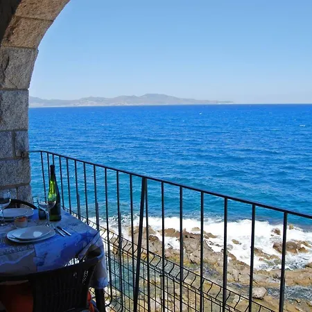 Albatros House